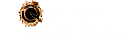 Q-FUN Laser Game